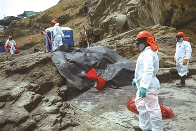 秘鲁卡亚俄海滩工作人员清理石油泄漏污染的海滩