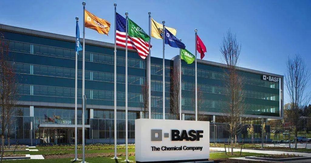 祝贺，巴斯夫再次获评2022年CDP领先企业