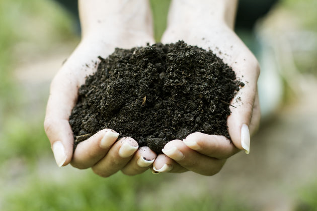 石墨烯又添生态功用：氧化石墨烯土壤菌落更多样化