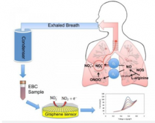 石墨烯的传感器可以改善哮喘的评价，诊断和治