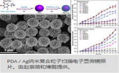 生物医学：抗菌纳米复合资料