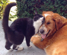 窥视：藏于内心世界的六个秘密