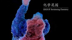 化学世界的“机密花园”，美得让人窒息！