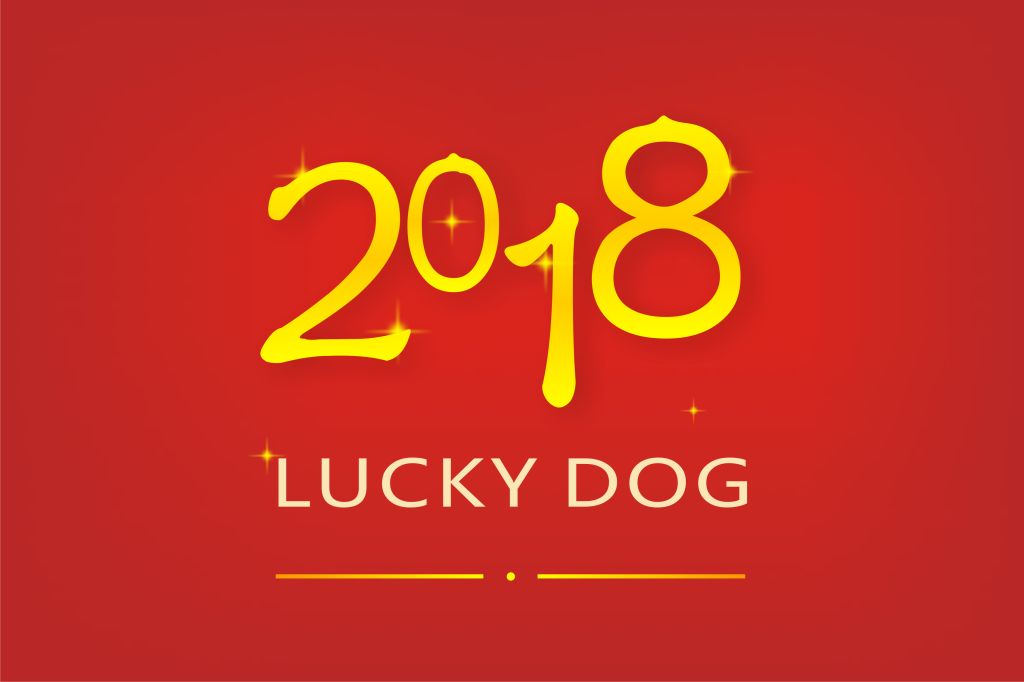 塑料人的2018，一定会更好！