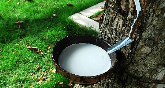 【沪胶强势涨停】天然橡胶现货价格日涨4.5%