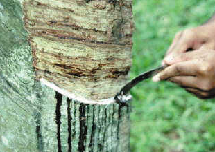 上下游利好 环氧树脂市场大幅走高