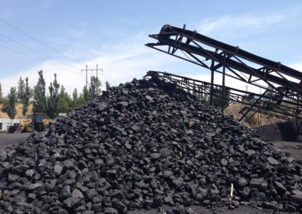 产地安检加剧供应短缺现状 国内动力煤市场或仍续涨