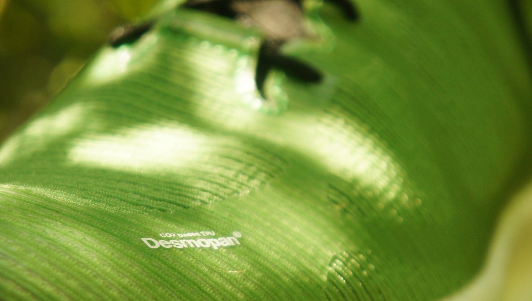 科思创：推出部分生物基TPU材料，以Desmopan® EC的名称销售