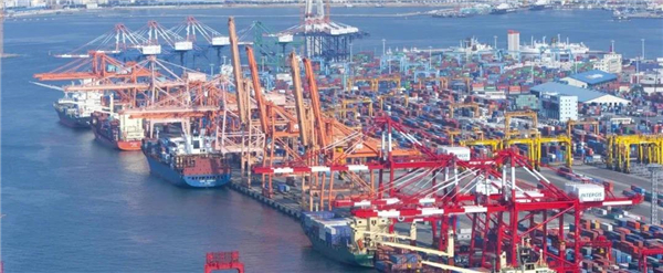 疯狂！运费飙涨203%！后市还要涨！