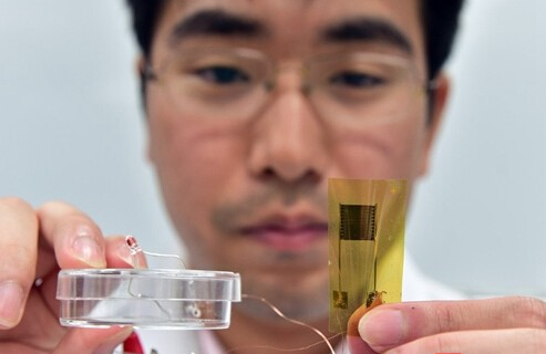 日本利用塑料膜研发创可贴式皮肤传感器