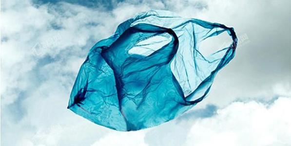 可降解和可回收塑料，哪种对环境更有利？