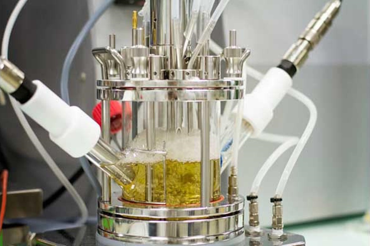 米其林批准使用从废旧PET瓶中回收的聚酯轮胎帘线