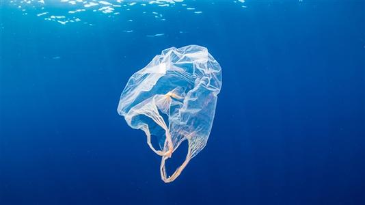  全球55%一次性塑料垃圾来自20家企业，埃克森美孚是最大污染者