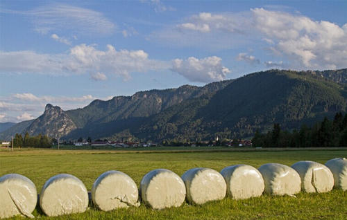 陶氏Pack Studios开启中国青贮全产业链合作