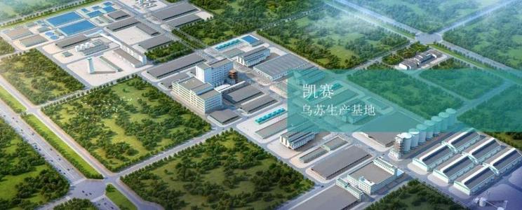 凯赛生物：布局生物基聚酰胺产业链，从中间体做到材料！