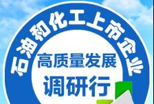 新安集团：聚焦主赛道 打造全产业链航母