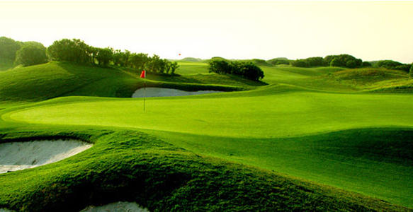 巴斯夫推出面向高尔夫球场市场的新型双活性杀菌剂Encartis