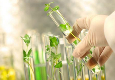 瑞丰高材：6万吨PBAT可降解材料项目于9月份竣工调试生产