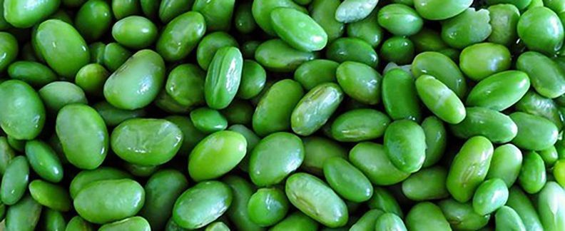 添加剂改善了用生物多元醇制造的硬质聚氨酯泡沫的性能