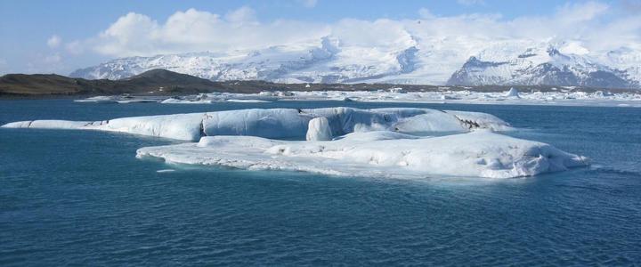 首次发现!北冰洋奇特浮游植物可合成“石油”