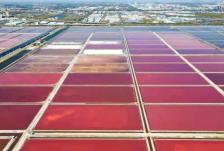 前9月化学原料和制品制造业增加值同比增长10.8%