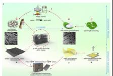 超折叠导电碳材料研究获进展