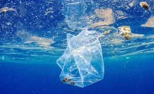 福建强化部署，有效推动塑料污染治理取得积极进展