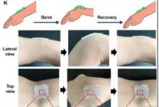 南工大研制螺旋纤维人造皮肤