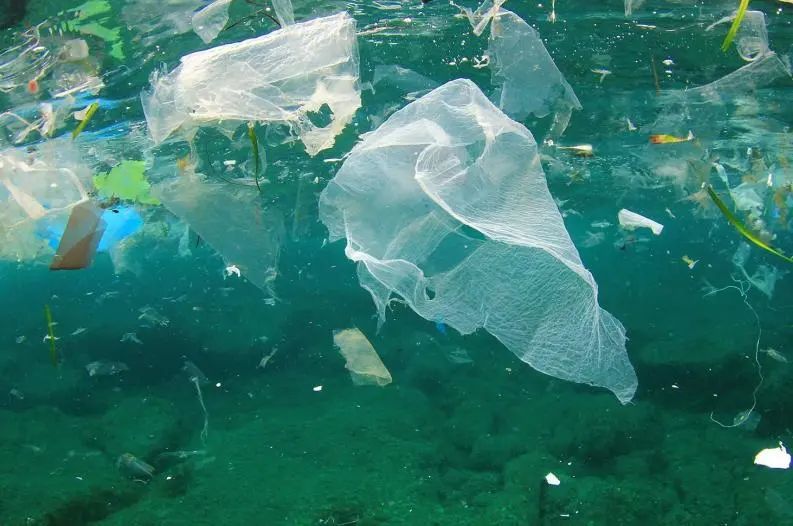 四川省公共机构：2021年底前全面停止使用不可降解一次性塑料制