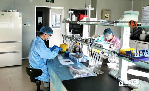 青岛大学开发杀菌灭毒口罩用纤维