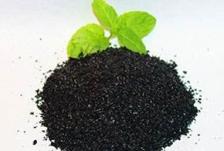 中鼎集团收购普利司通减震橡胶业务