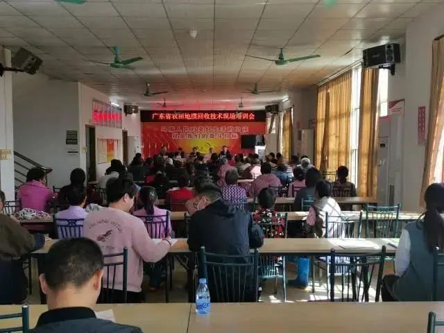 解决地膜污染：从回收与降解技术入手