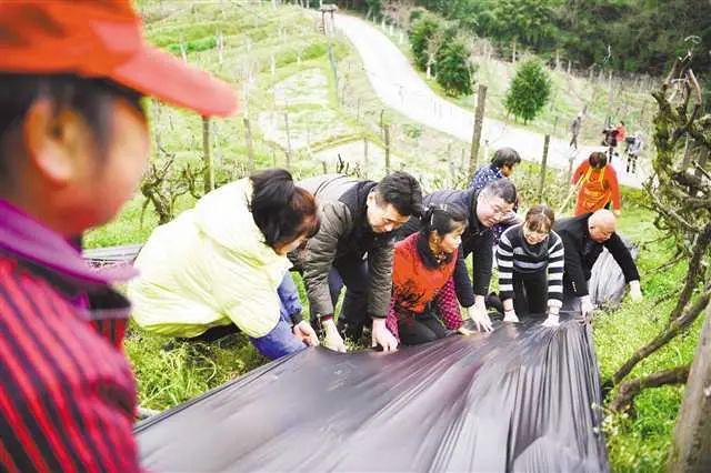 推广全生物降解地膜助力绿色发展