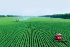 中氮协发出春耕用肥保供稳价倡议