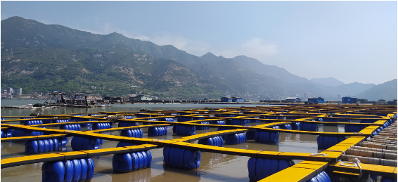 巴斯夫光稳定剂为中国水产养殖打造耐用的鱼排