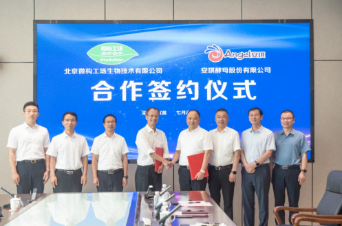 微构工场与安琪酵母成立合资企业，建设中国最大的PHA生产基地