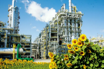 独山子石化品牌产品成为效益创造的亮点