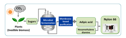 可持续生产PA66的生物基己二酸已由东丽开发出来