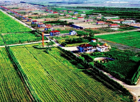 总投资270亿！克拉玛依将建50万吨聚乳酸！