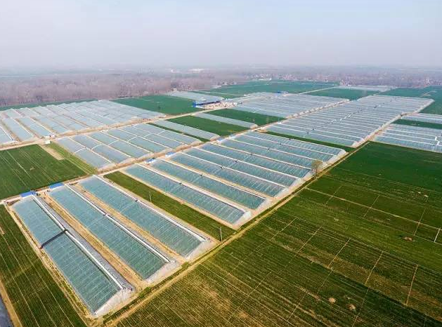 河南开封兰考县拟建年产10万吨PBAT项目