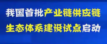 首批产业链供应链生态体系建设试点启动