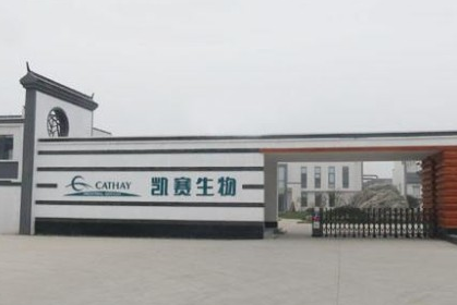 凯赛生物最新，太原年产90万吨聚酰胺项目部分产线预计明年进