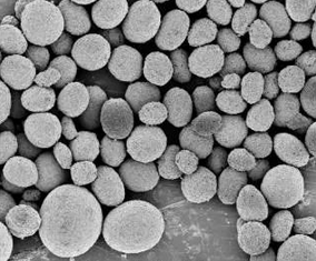 扩充SPHERILEX®产品系列，赢创推出用于超哑光木器漆的新型二氧