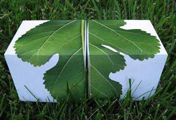 环保塑料之可降解塑料