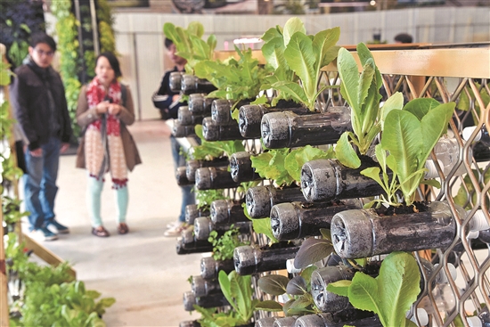 看我七十二变 废弃塑料的变身之路