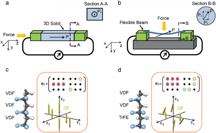乙烯共聚物中剪切压电效应在分子模拟等方面的运用