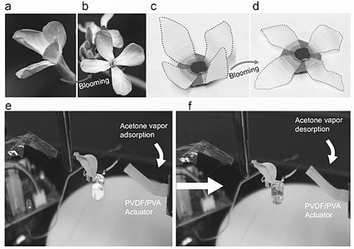 仿生智能薄膜可到达“不知疲倦”的运动特性