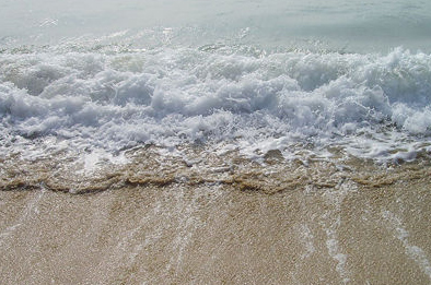 浓度已然超过海水 日本发现微塑料危害正急剧增加