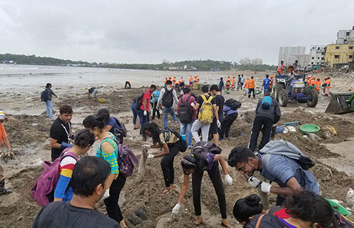文章1-22-印度孟买85周内清除了海滩上500万公斤塑料.jpg