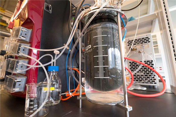 文章1-62 Genecis公司将食物垃圾变成可生物降解塑料.png